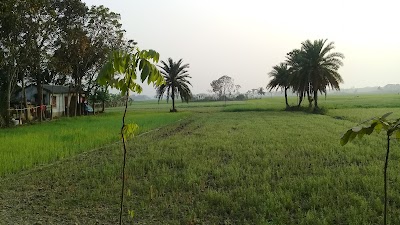 mosque