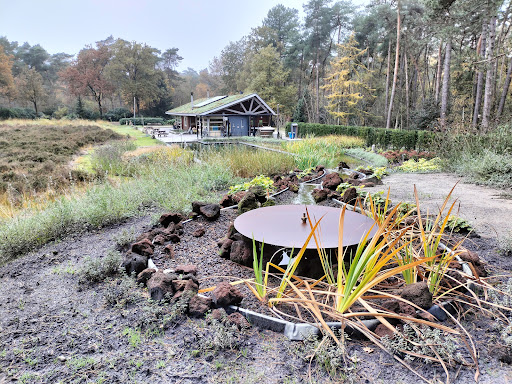 Naturistenvereniging Zon en Leven afdeling De Posthoek - Thumbnail
