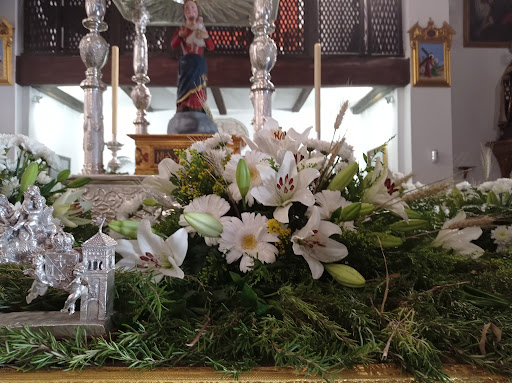 Floristería Salviflor - Thumbnail
