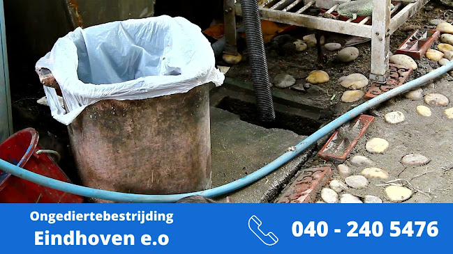 Beoordelingen van Ongediertebestrijding Eindhoven | Muizen, Wespen - alle soorten ongedierte in Eindhoven - Ander