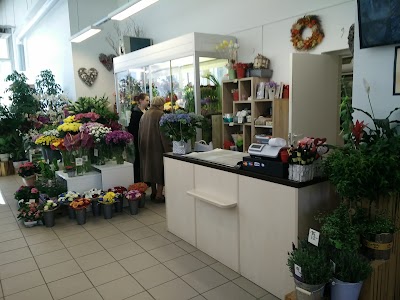 Photos of Kreutzwaldi Comarket