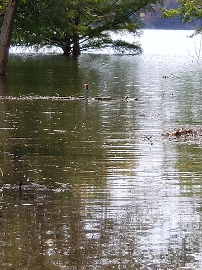 Clinton Lake Walnut Campground