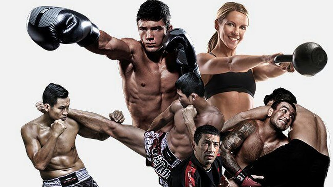  Wonder Stage ZTTY - Vendas profesionales de boxeo con cierre,  ideales para artes marciales, kickboxing, Muay Thai, entrenamiento de  karate o entrenamiento de gimnasio para hombres y mujeres : Deportes y