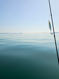 Photo n°5 de Aquitaine Peches sportives - Guide peche arcachon- à Lanton (Club de pêche)