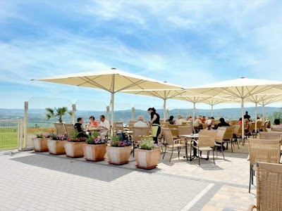 Photos of Panorama Hotel Am Frankenstein