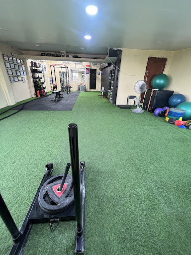 The Fitness Studio