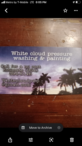 Whitecloud pressure washing and painting,llc