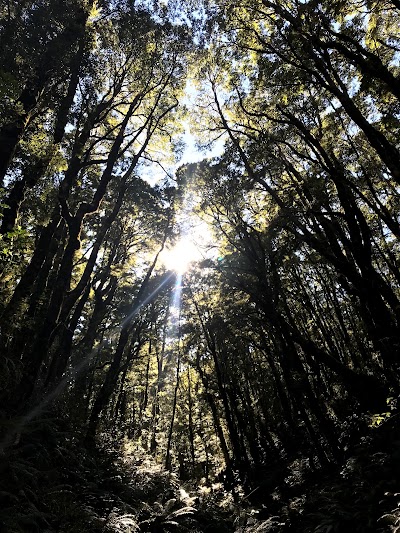 Photos of Tititea / Mount Aspiring National Park Visitor Centre