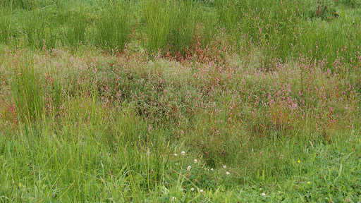 Het Beekdal - Visual
