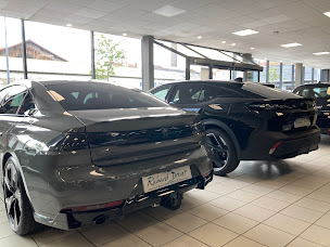 Photo n°2 de Peugeot Lyon Villeurbanne - RICHARD DREVET MOBILITÉS à Villeurbanne (Concessionnaire Peugeot)