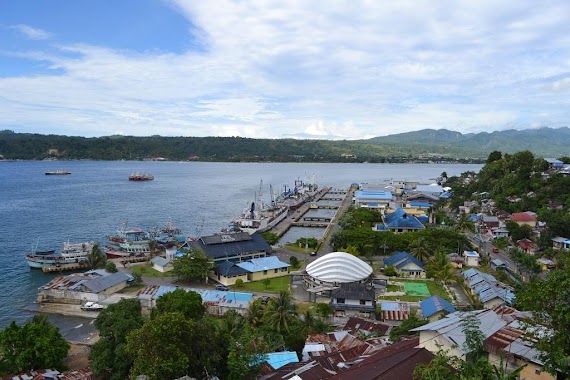 Pelabuhan Perikanan Nusantara Ambon, Author: Muhammad Asriadi