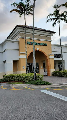 Town Commons Animal Hospital - Thumbnail