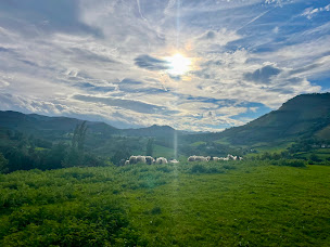 Photo n°8 de Souleguiou à Montory (Éleveur)