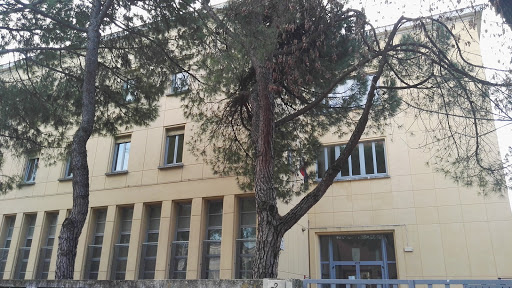 Scuola Media Palmezzano - Thumbnail
