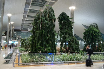 Photos of Terminal 2 Departure