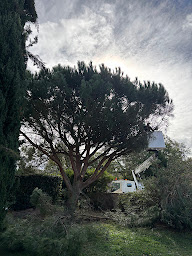 Photo n°32 de Robert Élagage 31 à Cugnaux (Service d'élagage)