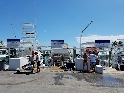 Photos of Islamorada Dive Center