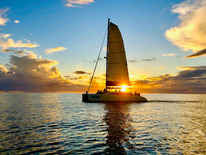 Cool Beans Cruises


