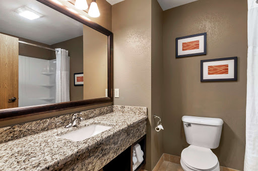 Comfort Inn & Suites Macon - Thumbnail