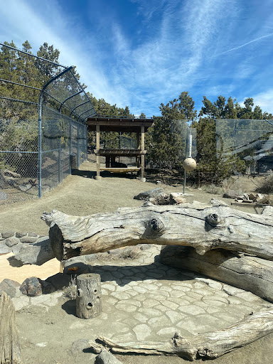 Animal Ark Bus parking - Thumbnail