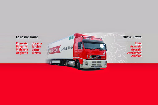 Cecconi Spa Trasporti E Spedizioni Nazion. E Internaz. Logo