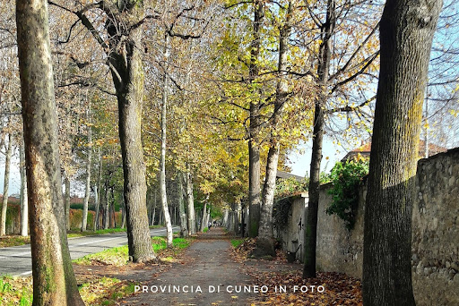 Viale degli Angeli - Thumbnail