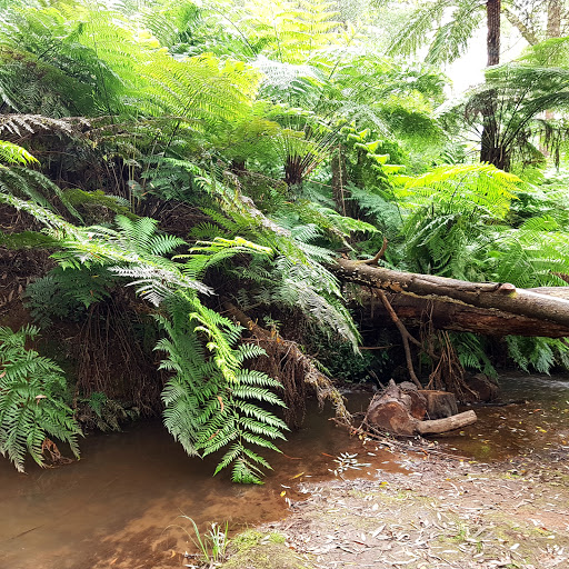 Kensleys Picnic Area Gallery - Australia