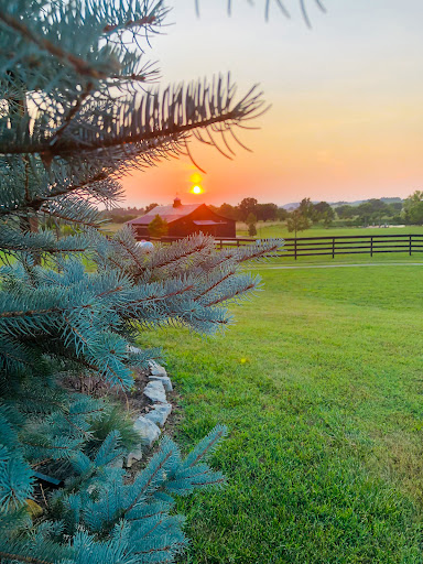 Windriver Farm - Visual