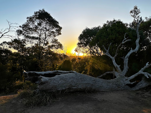 Wurundjeri Spur Lookout - Thumbnail