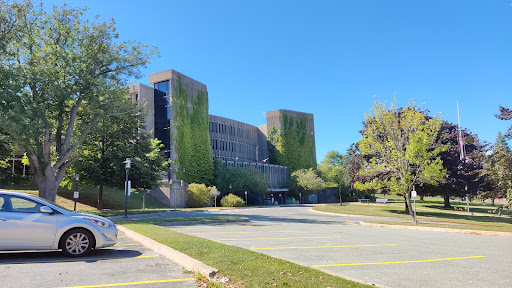MSVU Library - Visual