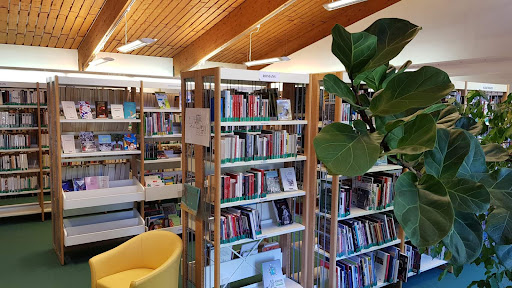 Bibliothèque d'Alsace - Site de Sarre-Union - Thumbnail