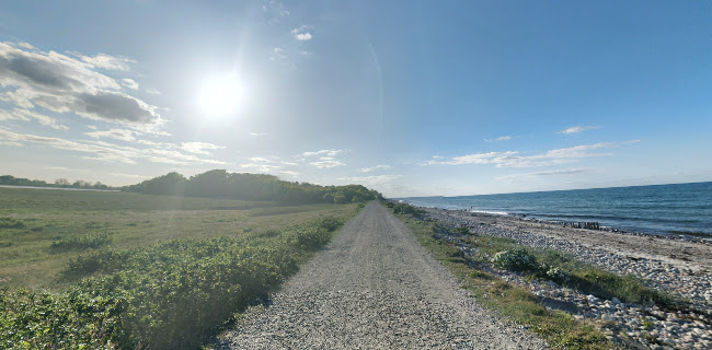 Enebærodde