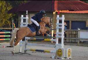 Photo n°2 de Écurie de Phéline à Ossun (Centre équestre)