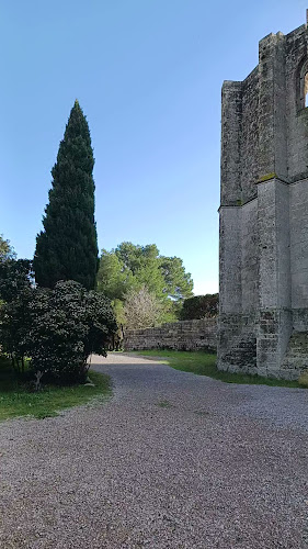 Abbaye Saint-Félix-de-Montceau - Église