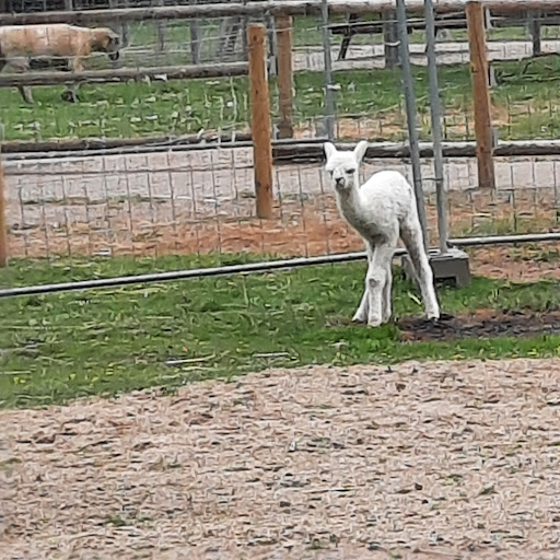 Moerser Freizeitpark Tiergehege - Thumbnail