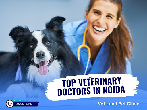 Top Veterinary Doctors in Noida | Vet Land Pet Clinic post image