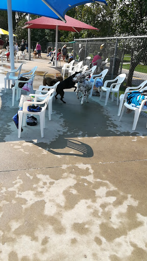 Plummer Pool - Visual