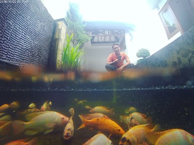 Photos of Villa Harmony Palagan
