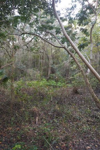 Wildlife Habitat Trail - Thumbnail