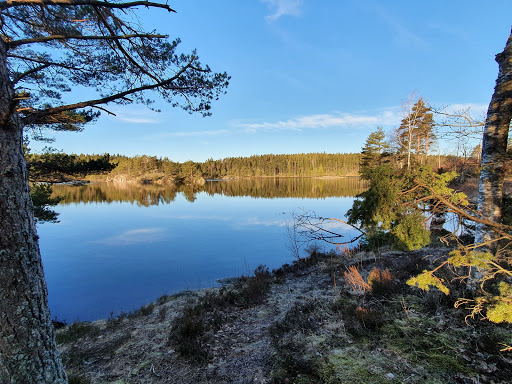 Kasebo Kynnefjälls naturreservat Logo