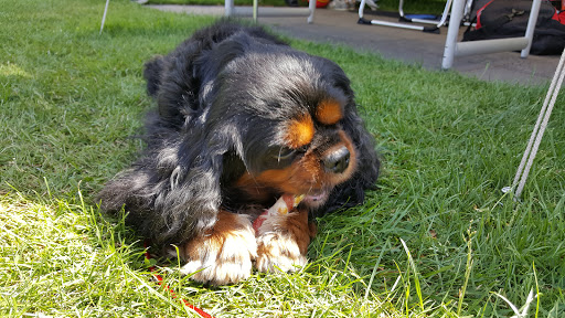 Camping 'De Wasbeek' - Thumbnail