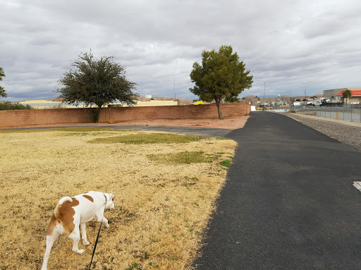 Pulsipher Park - Visual
