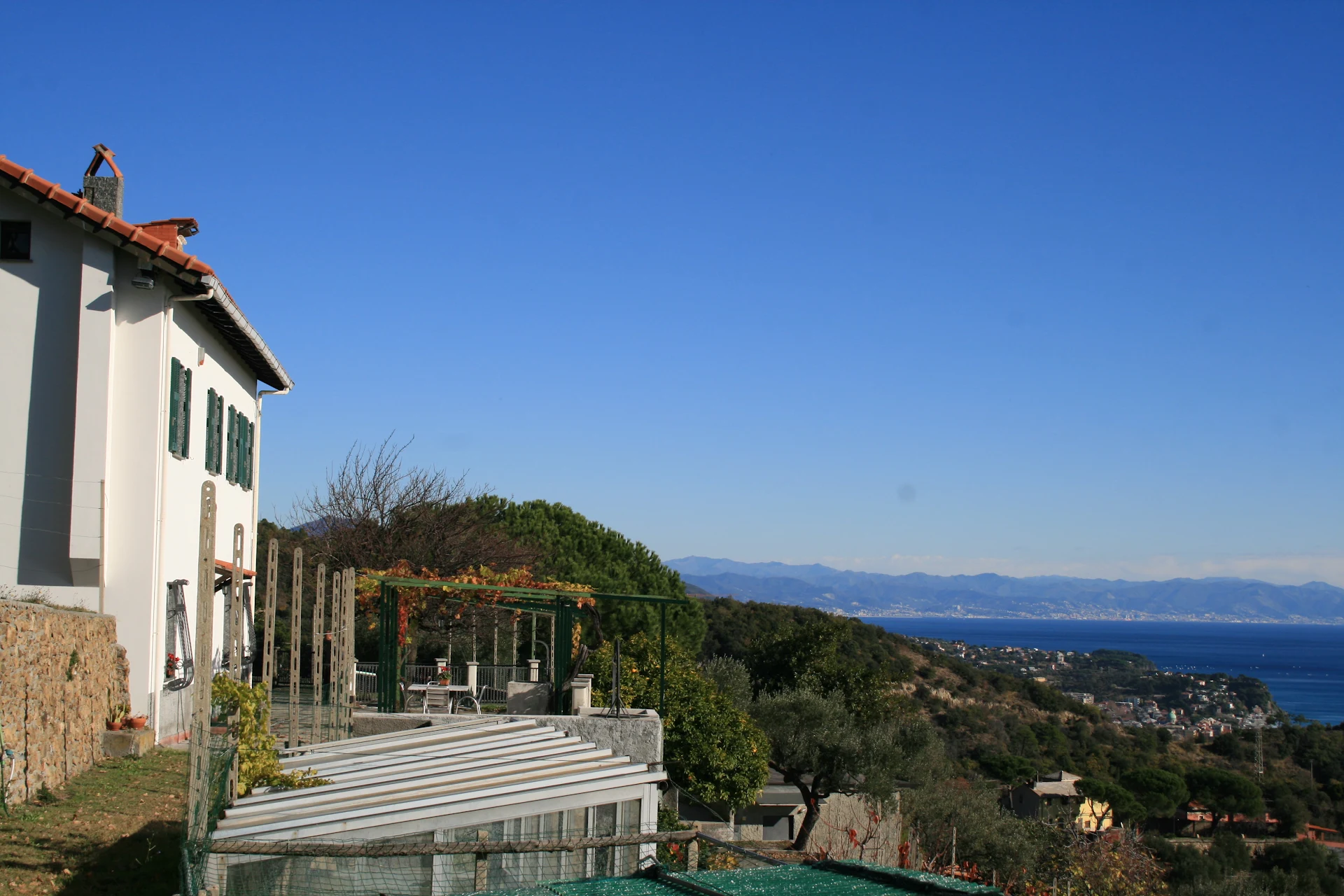 Il giardino degli ulivi