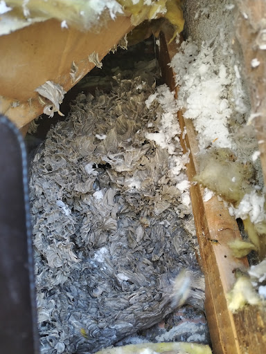 stop insectes 81 - Thumbnail