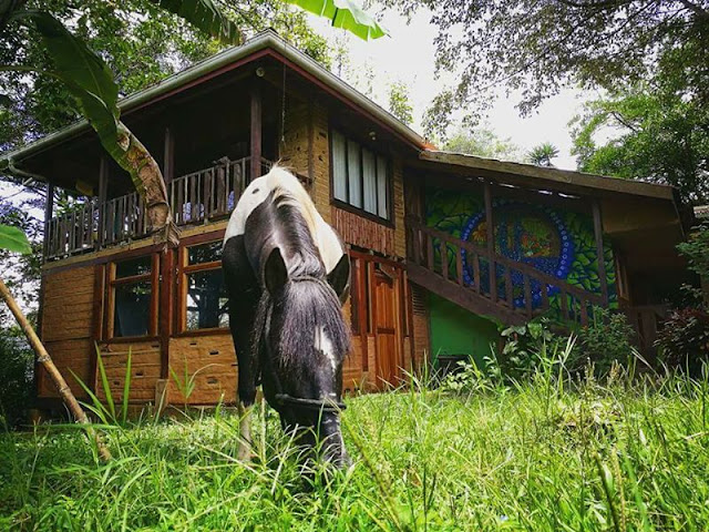 Finca Agroecologica La Flor by null