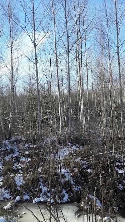 Photos of Plūgo broliai