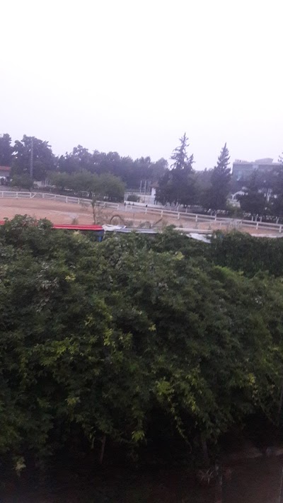 Photos of Auberge de jeunnesse Blida