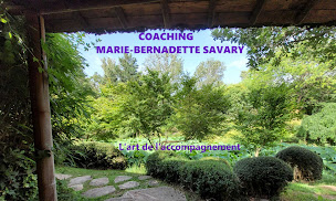 Photo n°1 de CoachingMB, l'art de l'accompagnement à Séreilhac (Coaching professionnel)