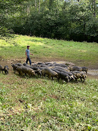 Photo n°35 de Viande & Chef à Paris (Boucherie-charcuterie)