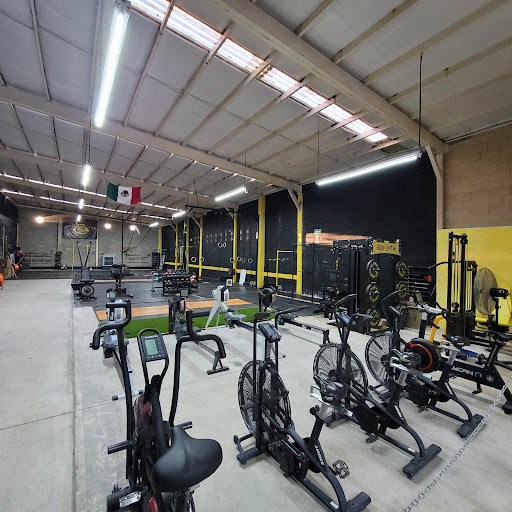 BAGHEERA CROSSTRAINING